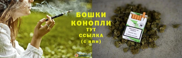 сатива Белокуриха