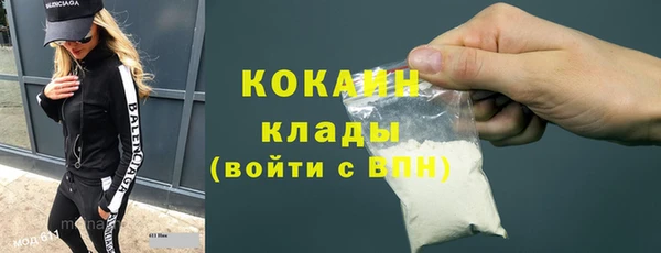 сатива Белокуриха