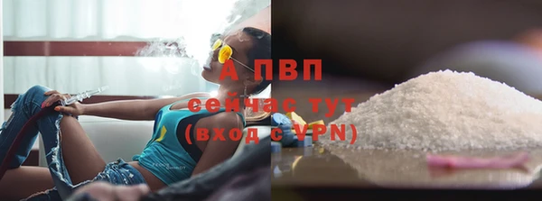 сатива Белокуриха