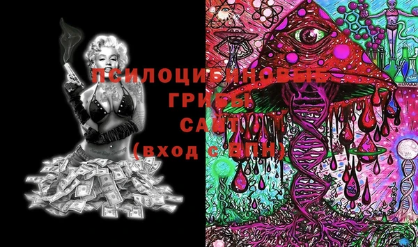 PSILOCYBIN Белоозёрский