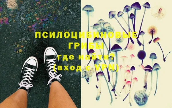 PSILOCYBIN Белоозёрский