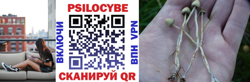 наркошоп  Окуловка  Псилоцибиновые грибы мицелий 